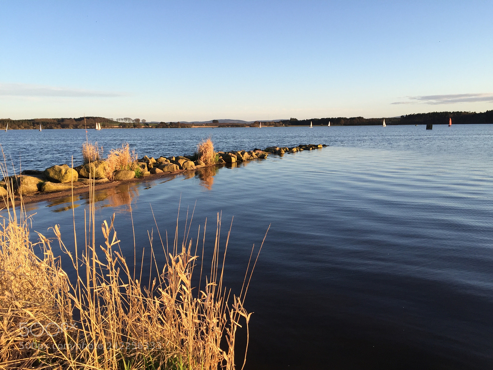 Apple iPhone 6 sample photo. Sail boats on water photography