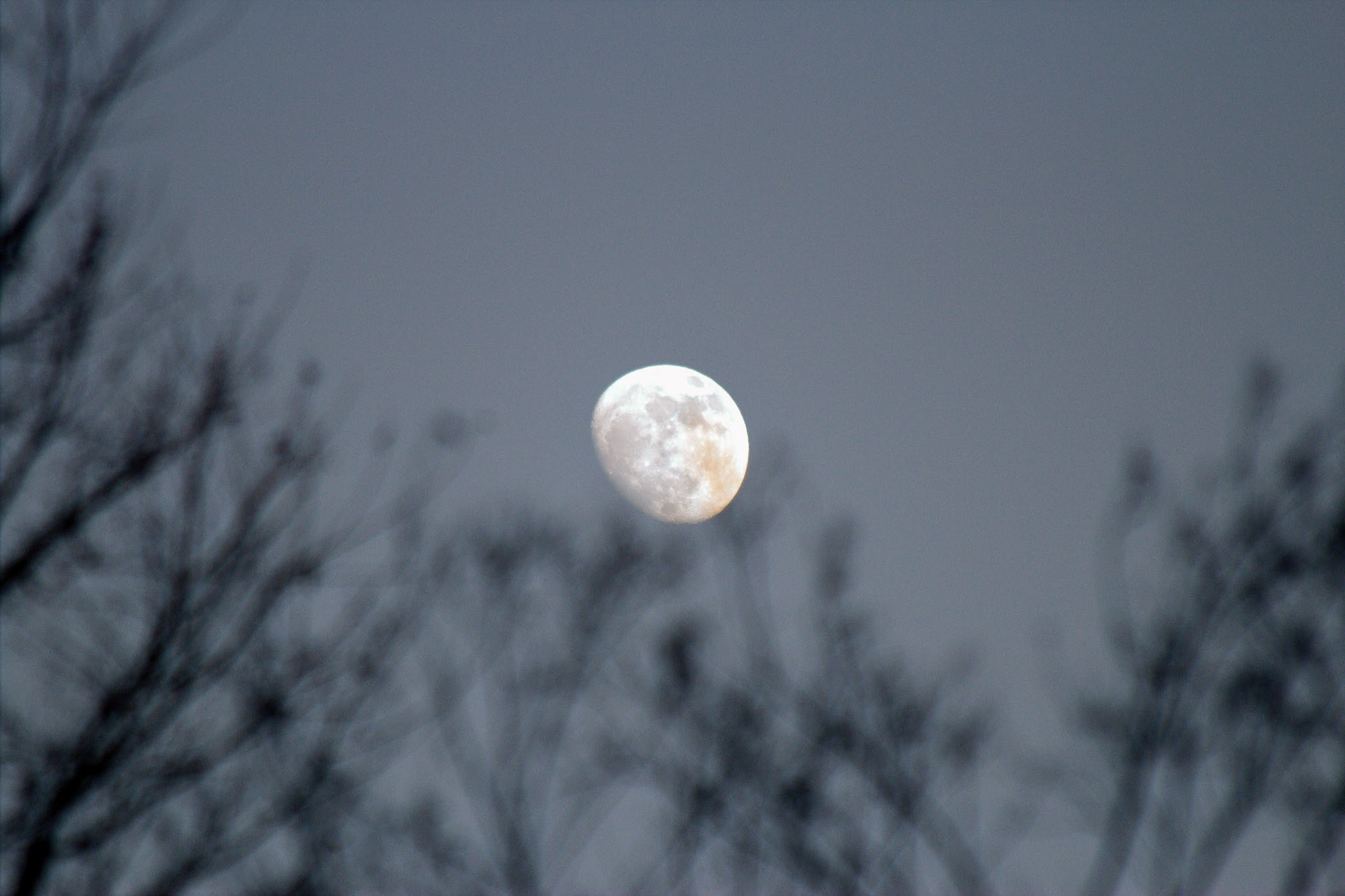 Canon EF 70-300mm F4-5.6 IS USM sample photo. Full moon,or almost ! photography
