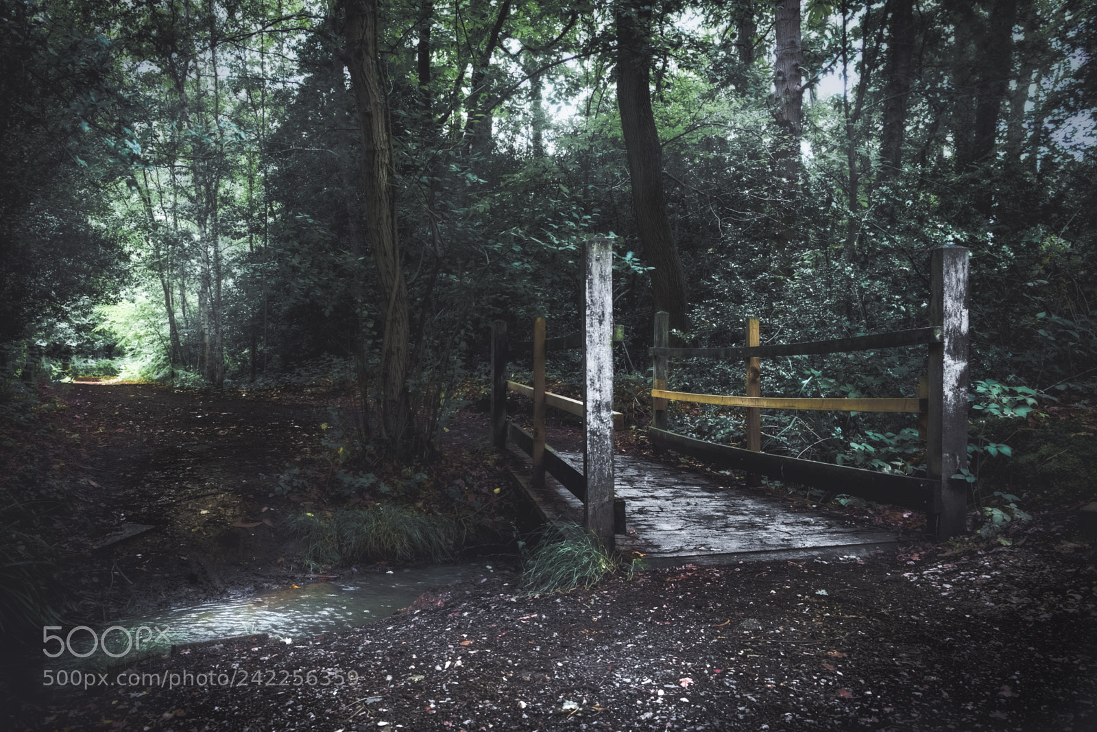 Fujifilm X-T10 sample photo. The bridge photography