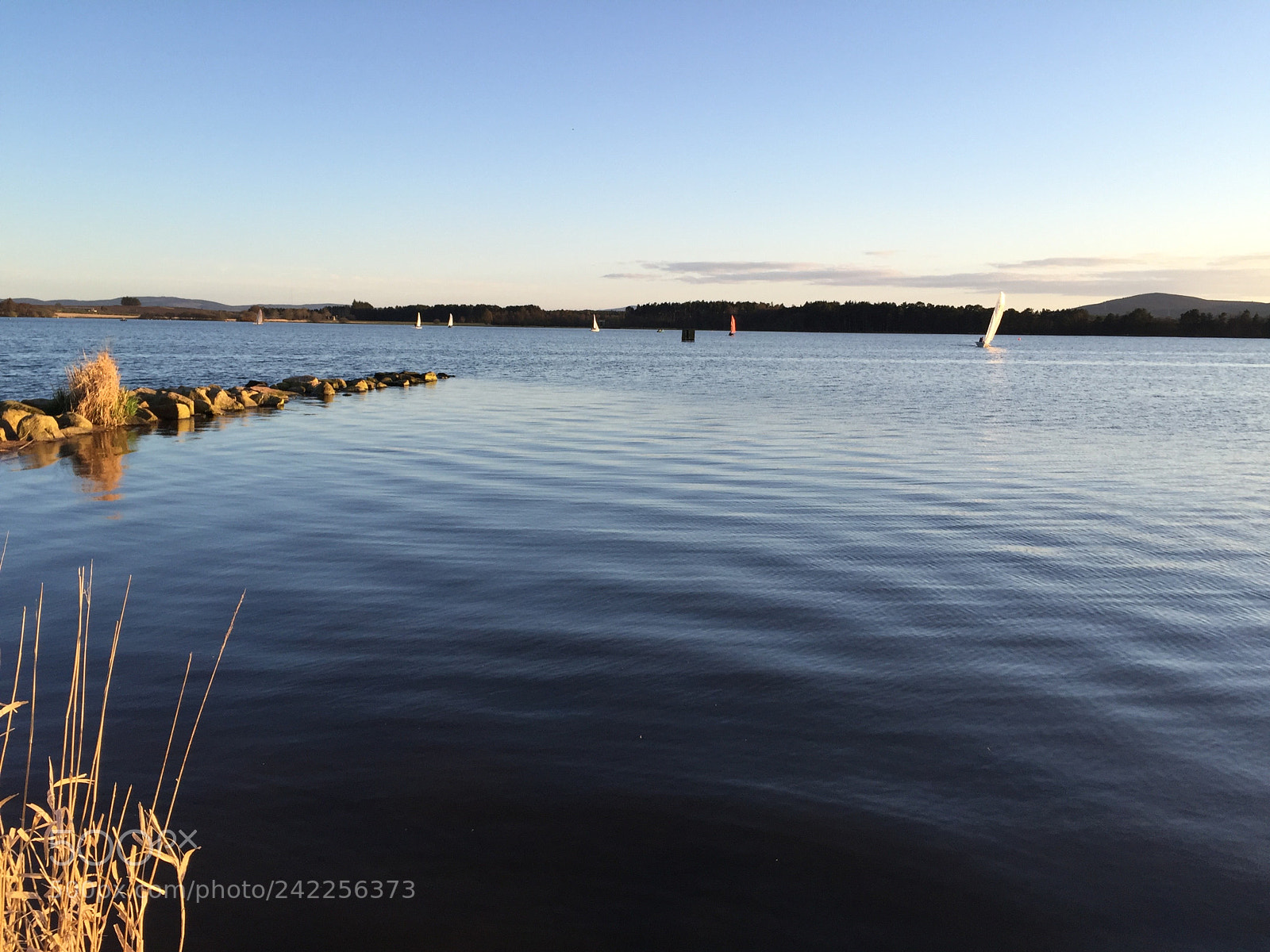 Apple iPhone 6 sample photo. Sail boats on water photography