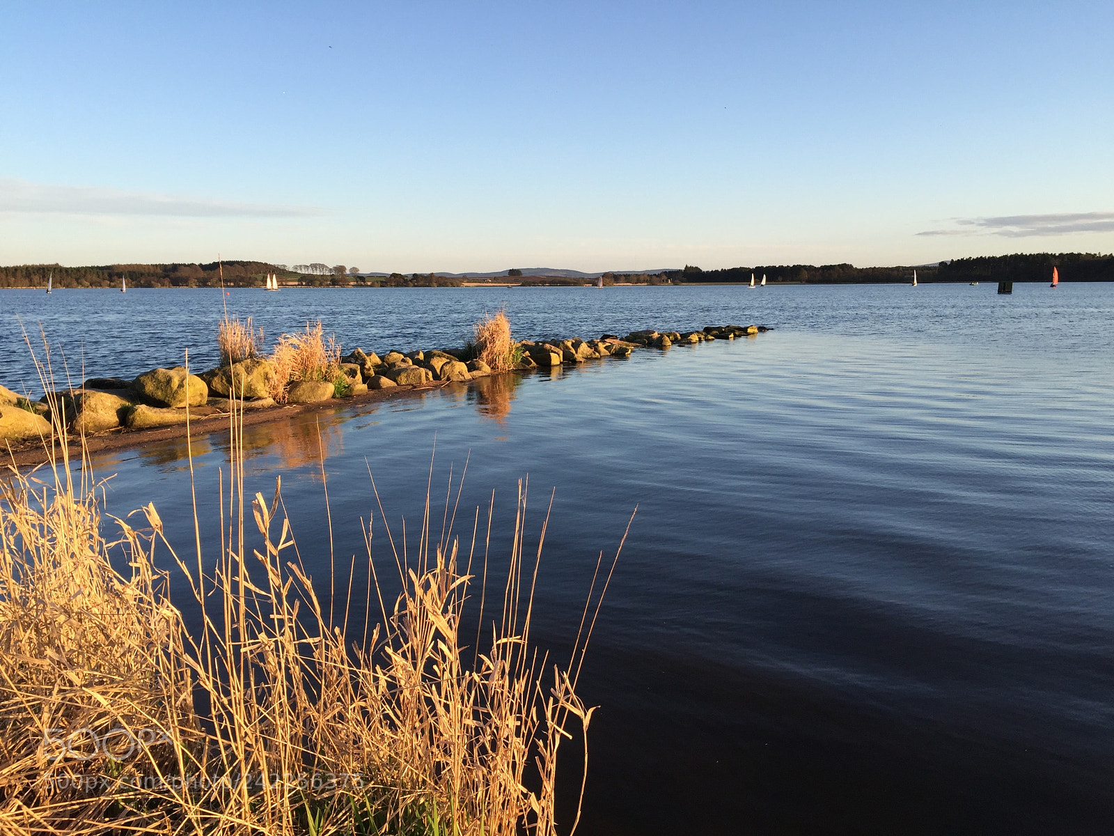 Apple iPhone 6 sample photo. Sail boats on water photography