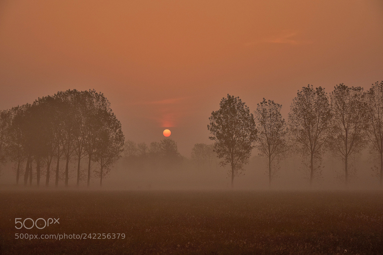 Nikon D5500 sample photo. Po valley photography