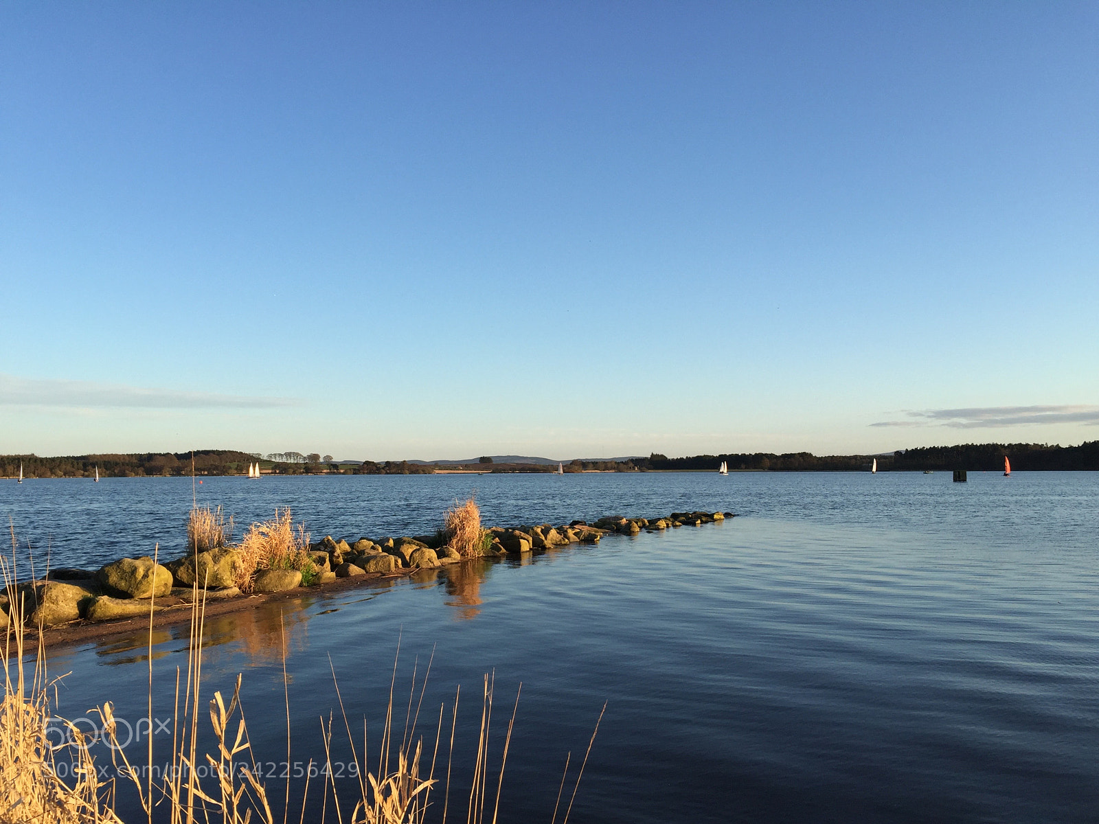 Apple iPhone 6 sample photo. Sail boats on water photography
