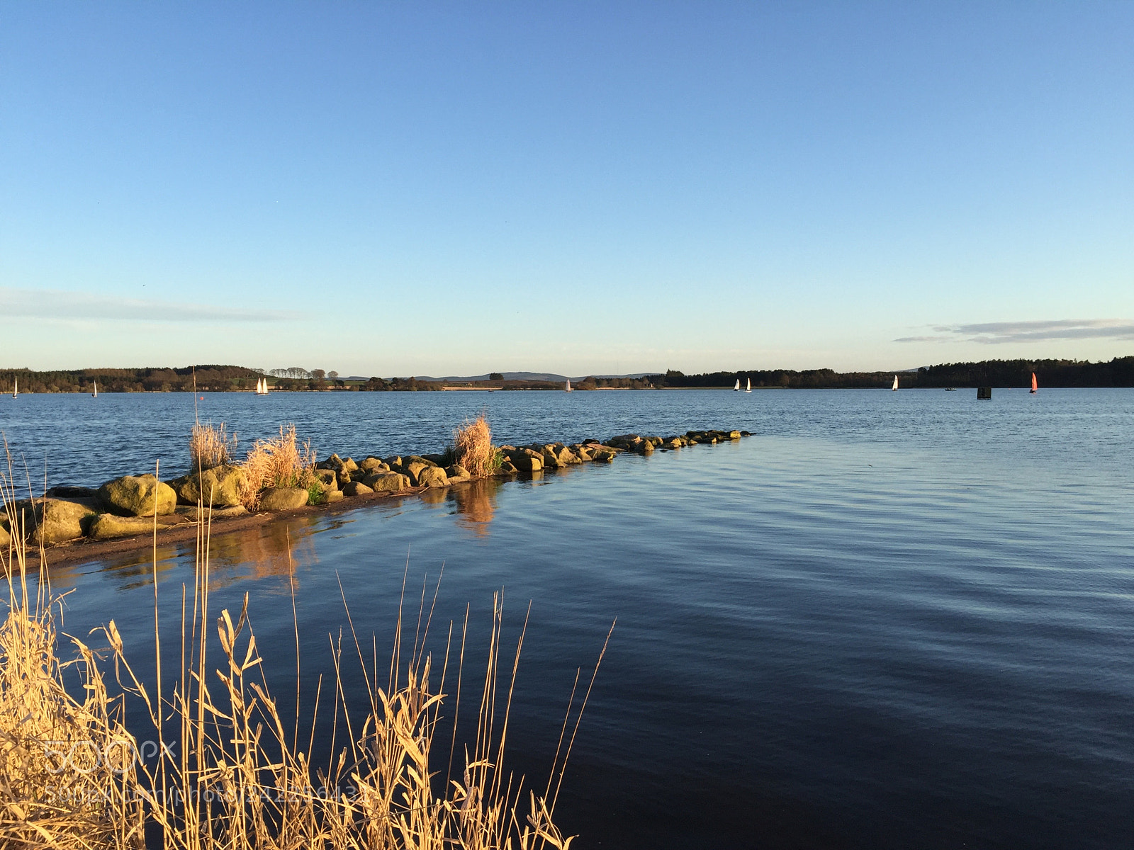 Apple iPhone 6 sample photo. Sail boats on water photography