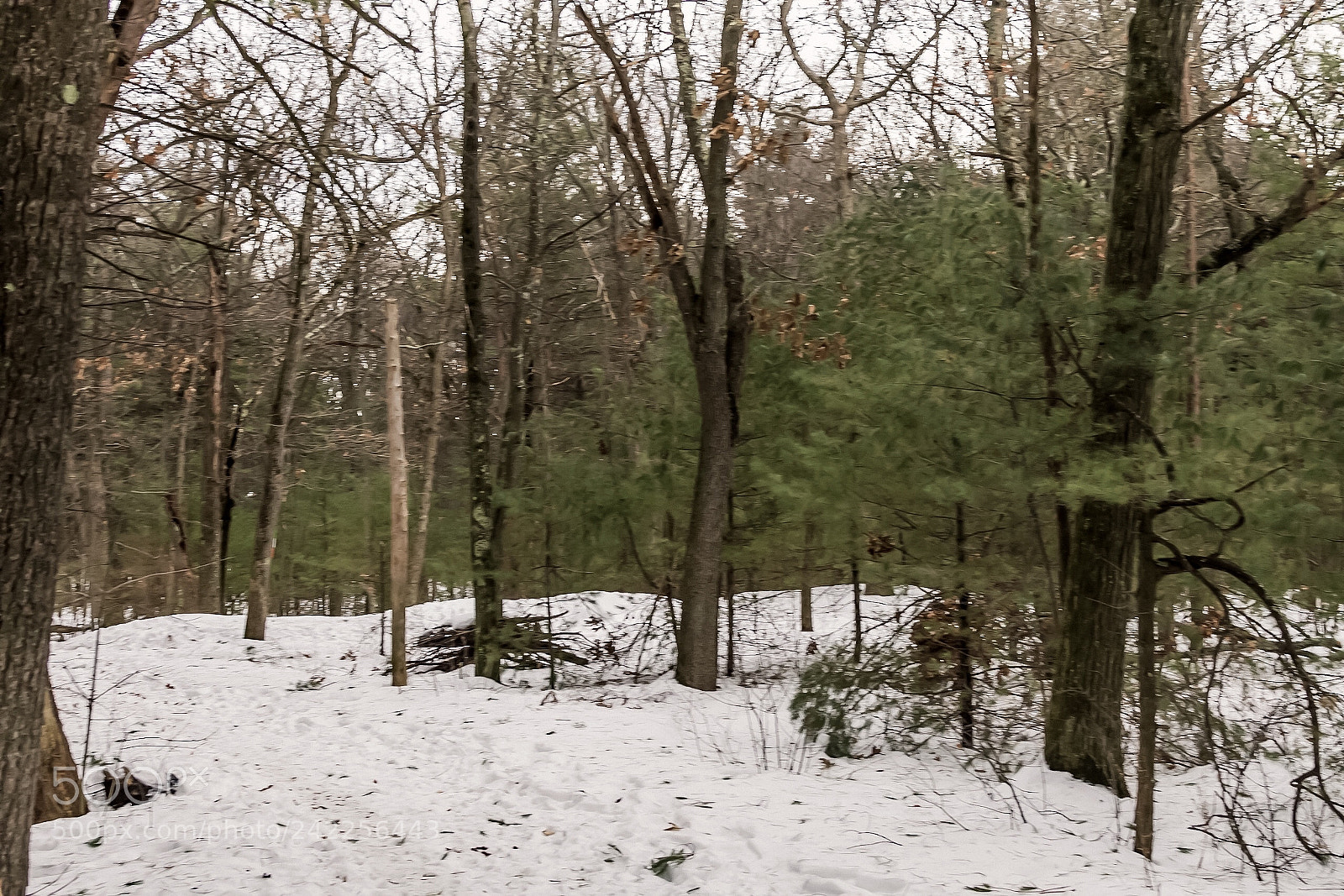 Nikon D7200 sample photo. Random trails photography
