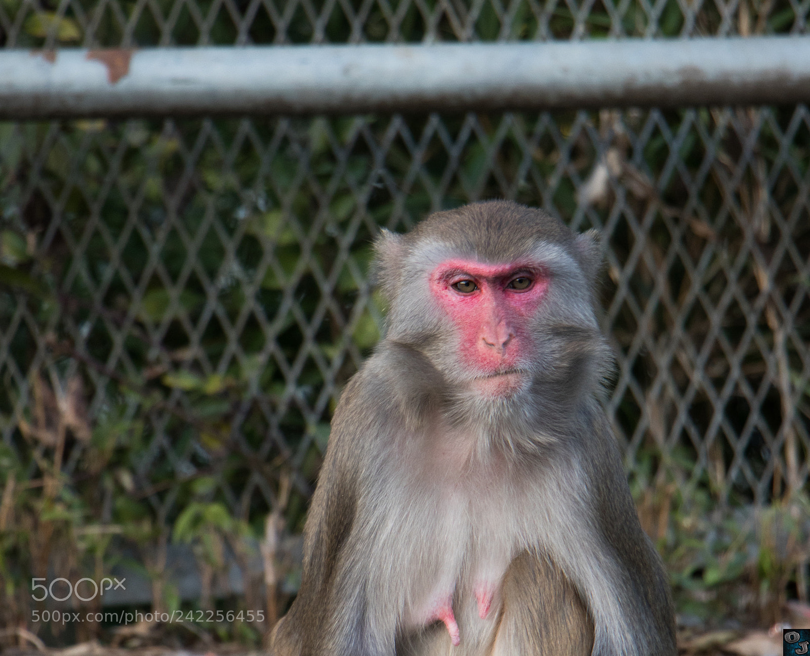 Canon EOS 800D (EOS Rebel T7i / EOS Kiss X9i) sample photo. Done yet?! photography