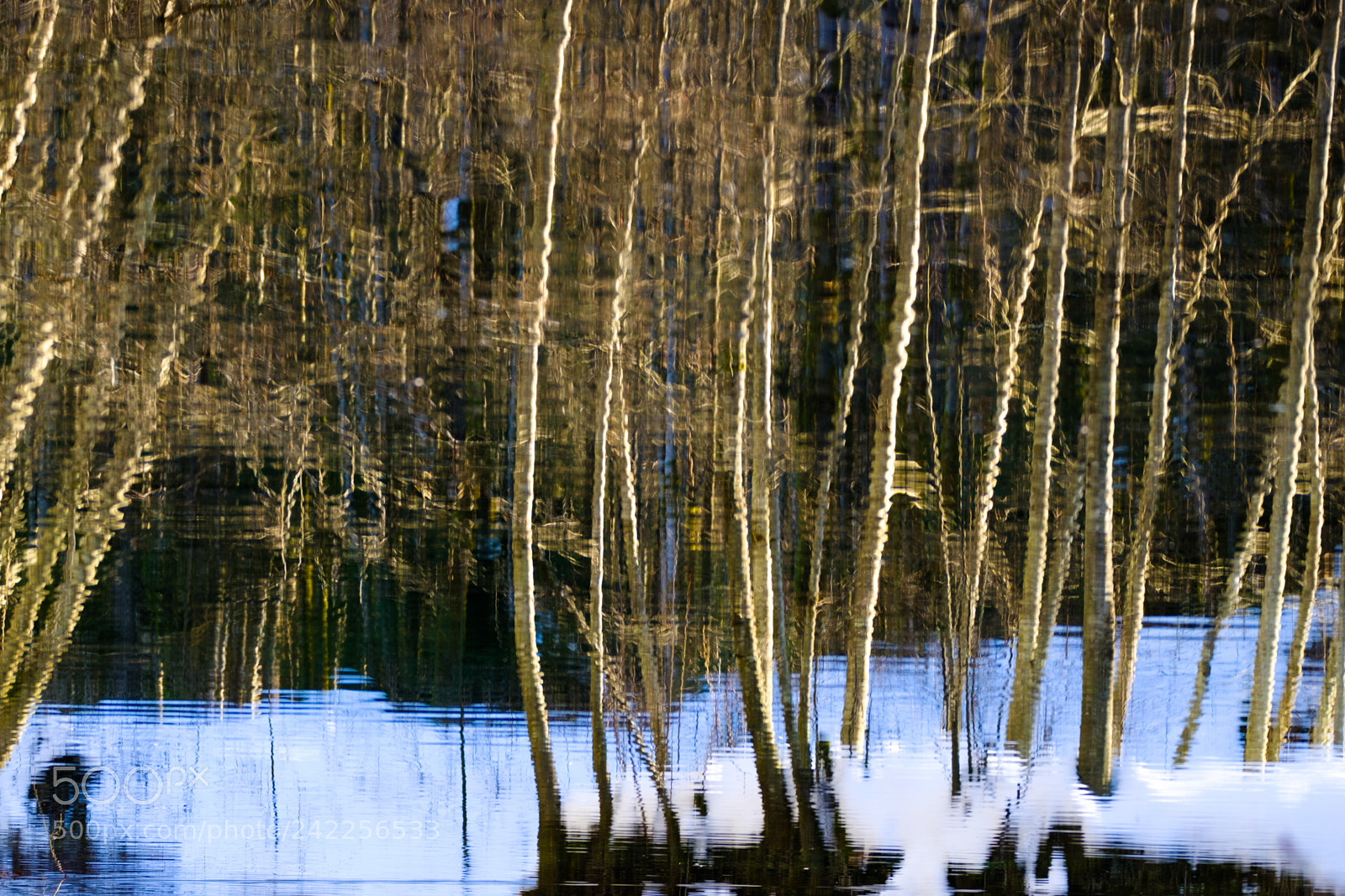 Fujifilm X-Pro2 sample photo. Paradise valley pond reflection photography