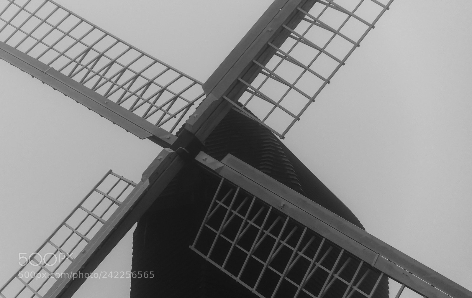 Nikon D850 sample photo. Foggy close up photography