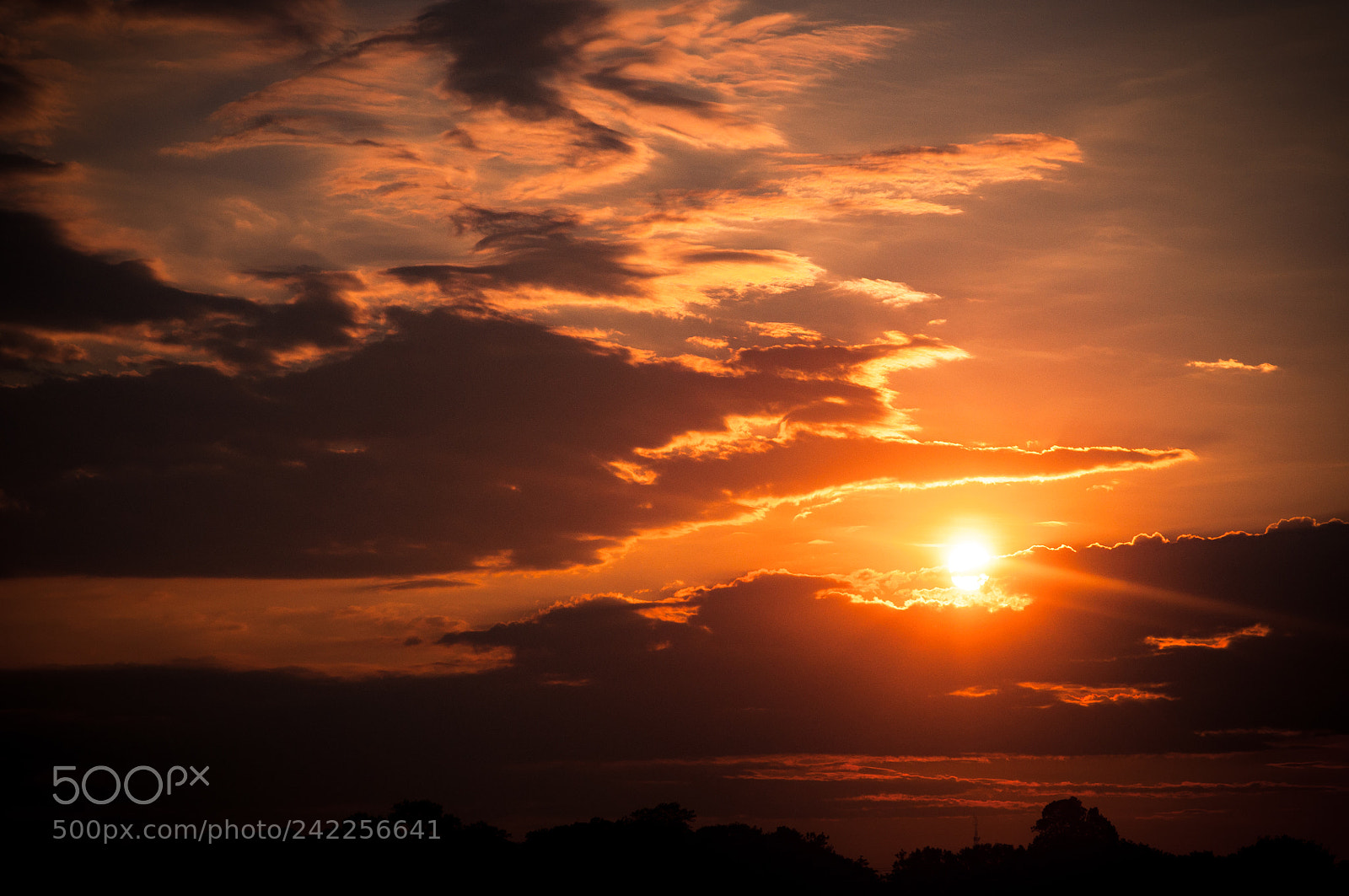 Nikon D90 sample photo. Sandy hook sunset photography