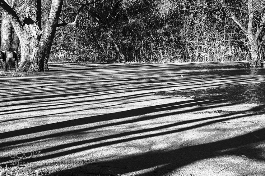 Nikon D3100 sample photo. La laguna photography