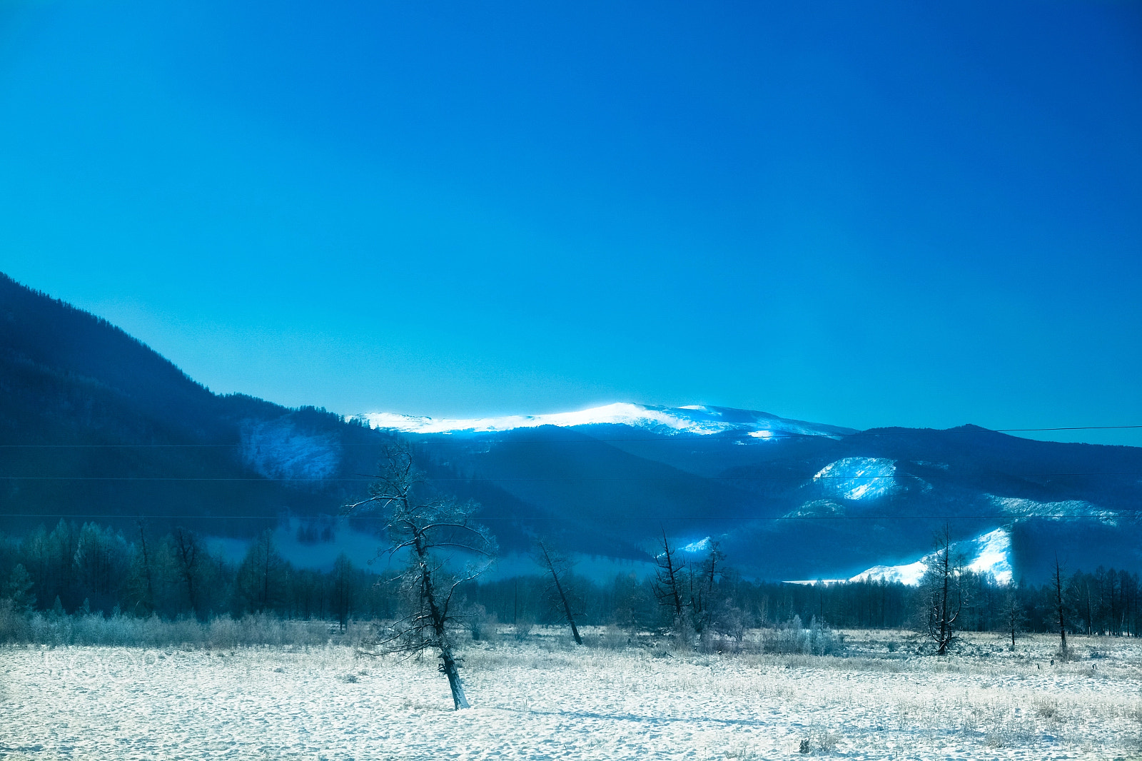 Fujifilm X-Pro1 sample photo. Altai photography