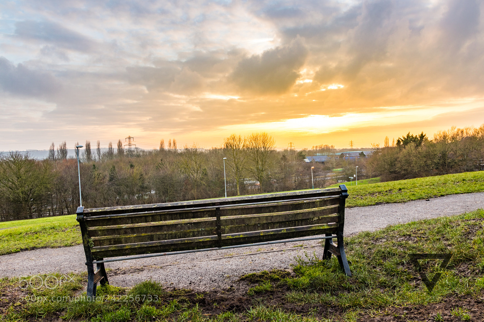 Canon EOS 77D (EOS 9000D / EOS 770D) sample photo. Afternoon in the park photography