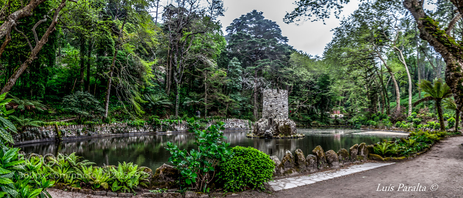 Nikon D90 sample photo. Jardim da pena photography