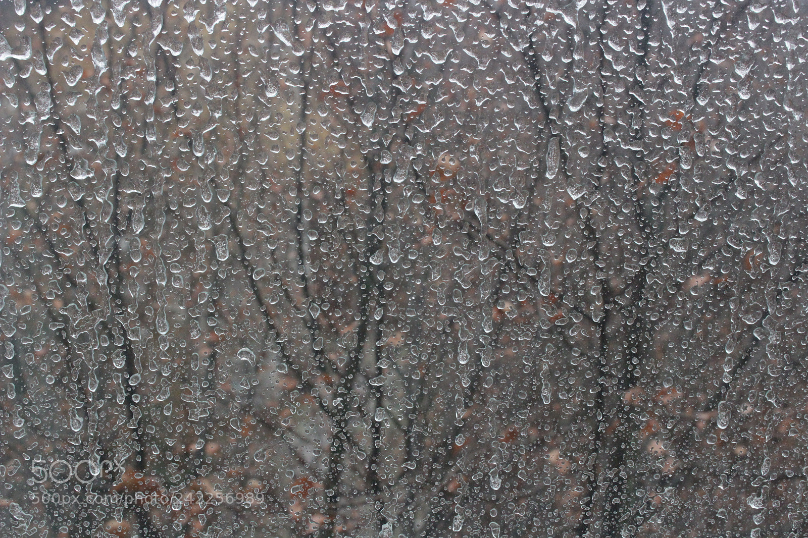 Canon EOS 100D (EOS Rebel SL1 / EOS Kiss X7) sample photo. Freezing rain photography