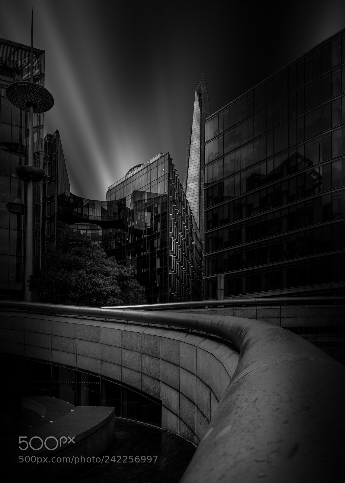 Nikon D810 sample photo. 1.jpg photography