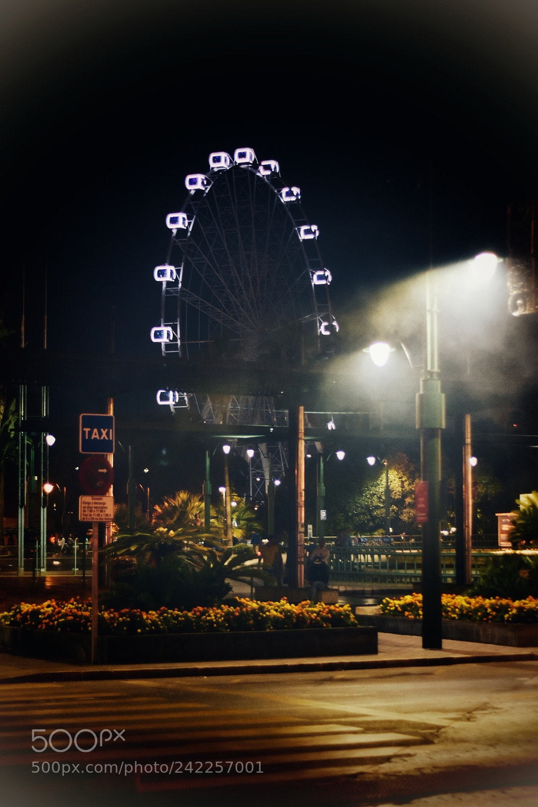 Nikon D7200 sample photo. Noche invernal photography