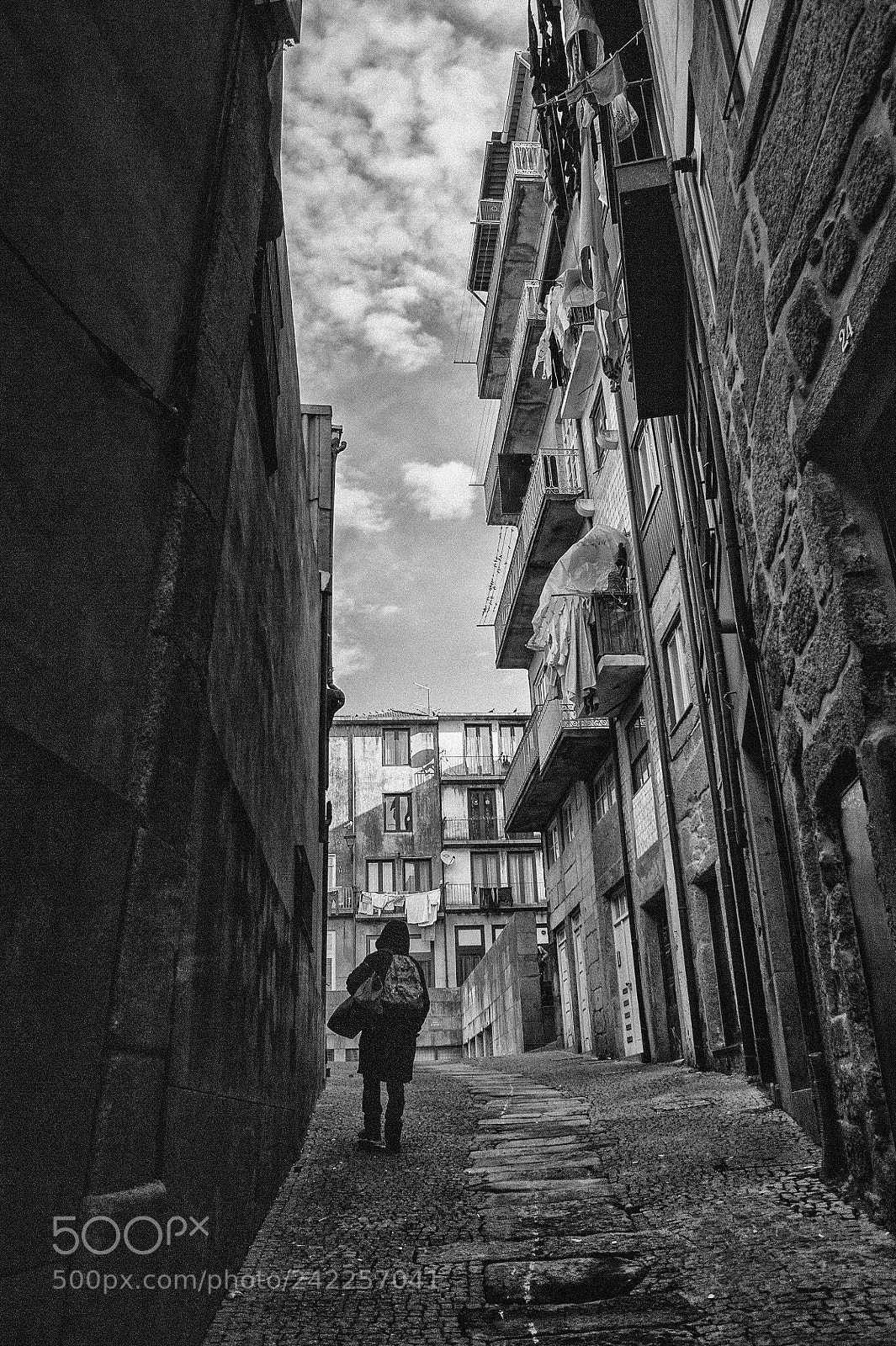 Nikon D700 sample photo. Untitled photography