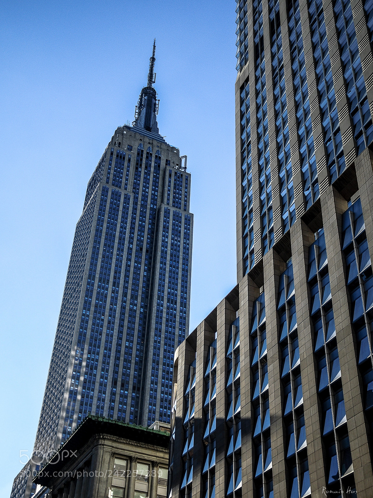 Nikon D90 sample photo. King kong city photography