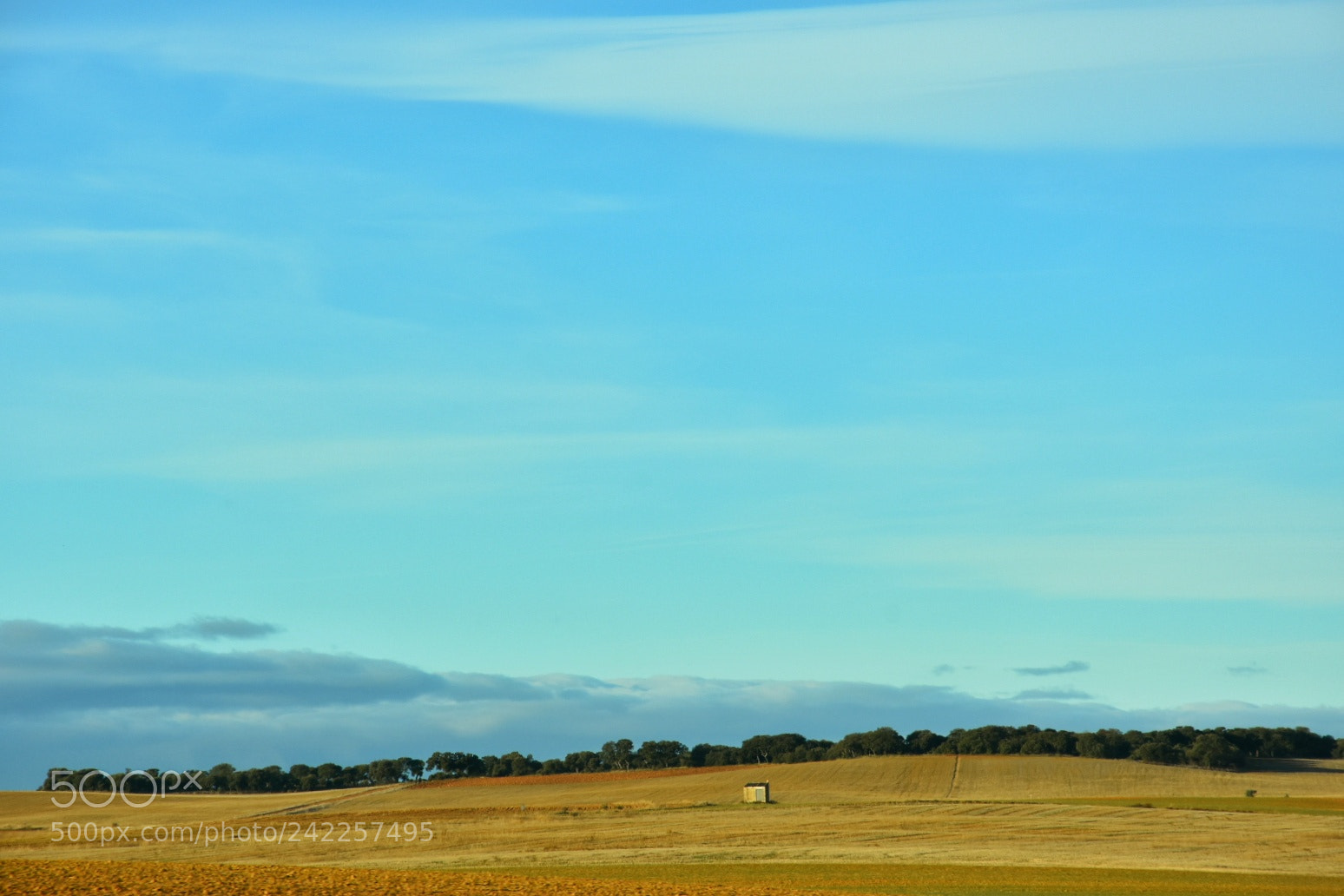 Nikon D7200 sample photo. Anchas castillas photography