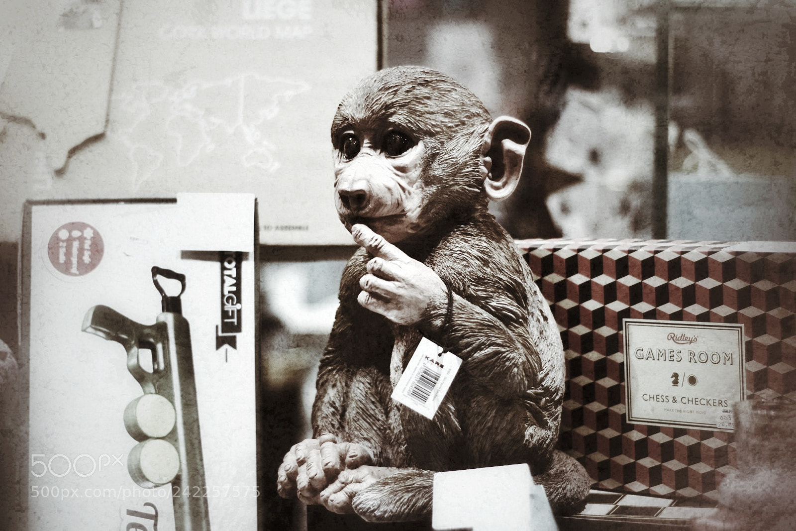 Nikon D7200 sample photo. Monkey photography