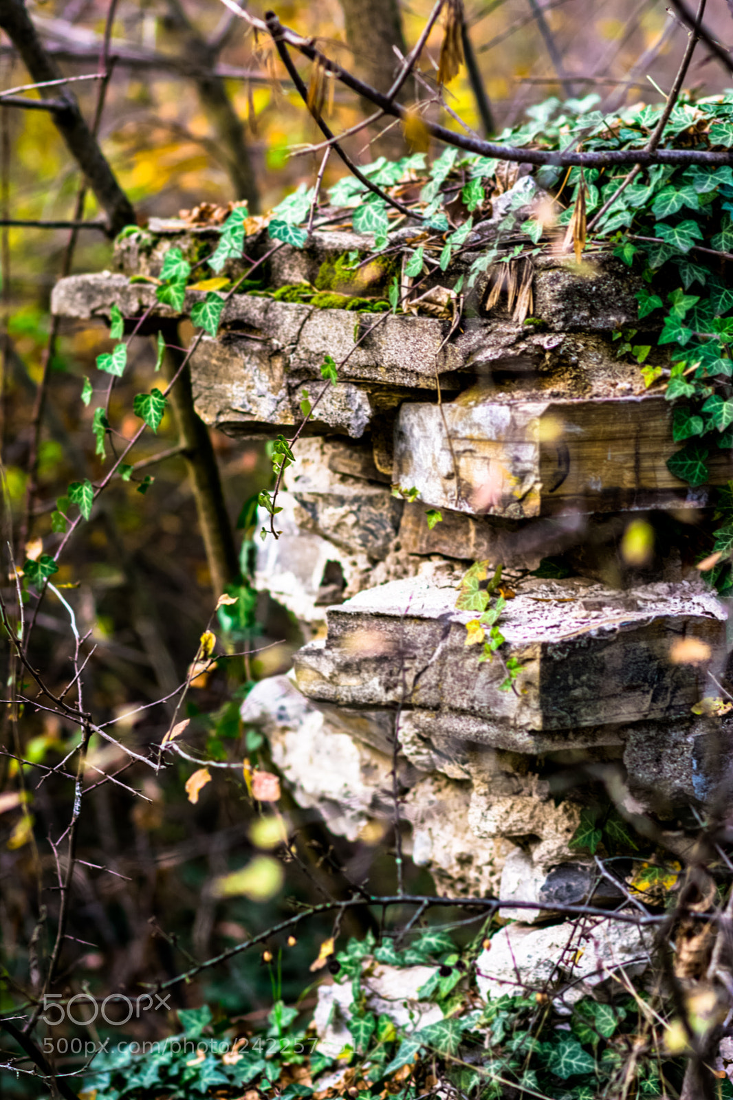 Nikon D7100 sample photo. To the home ... photography