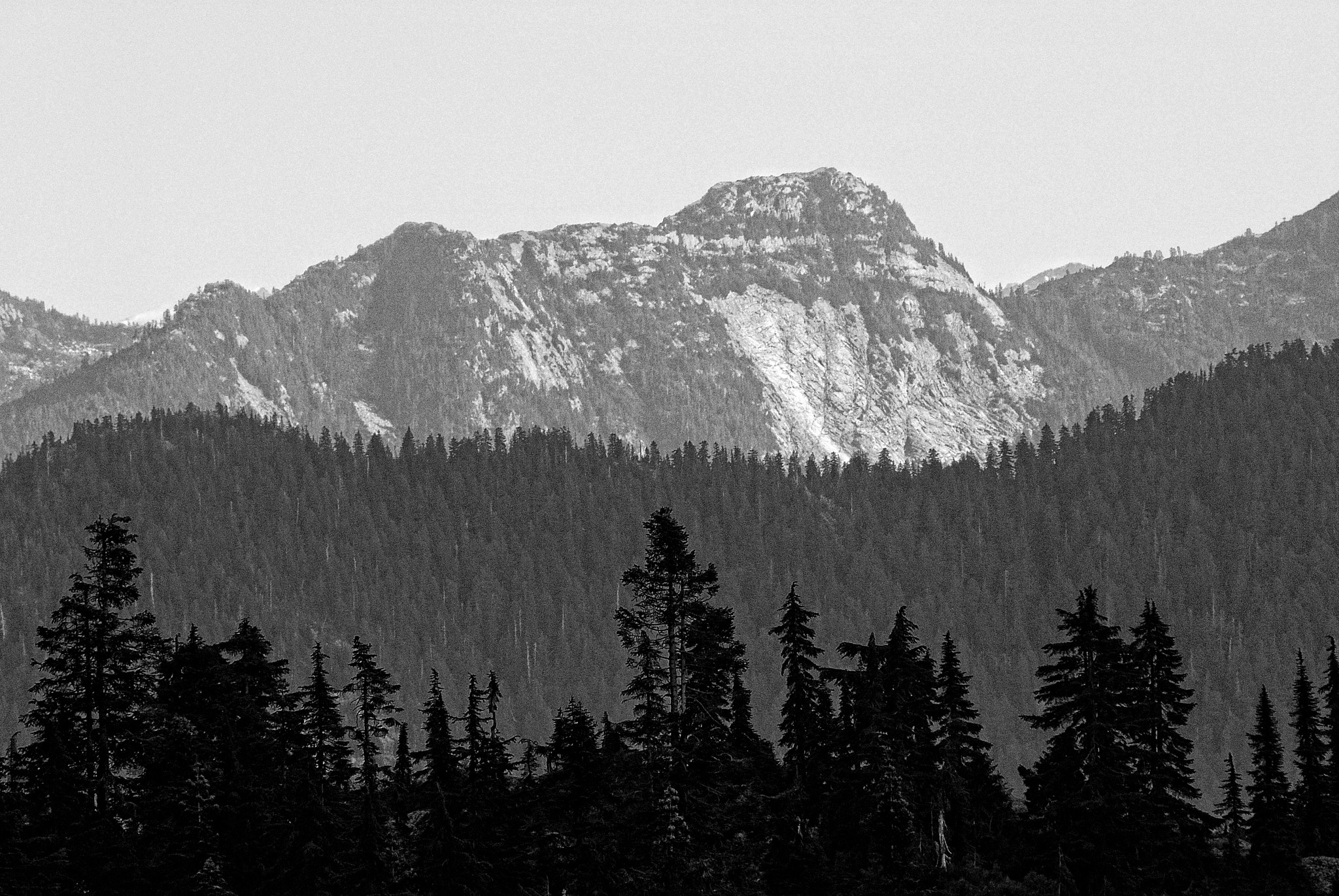 Nikon D80 sample photo. Natural layers photography