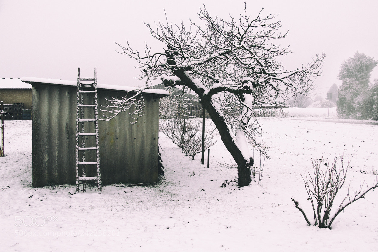 Olympus OM-D E-M5 sample photo. Rural landscape photography