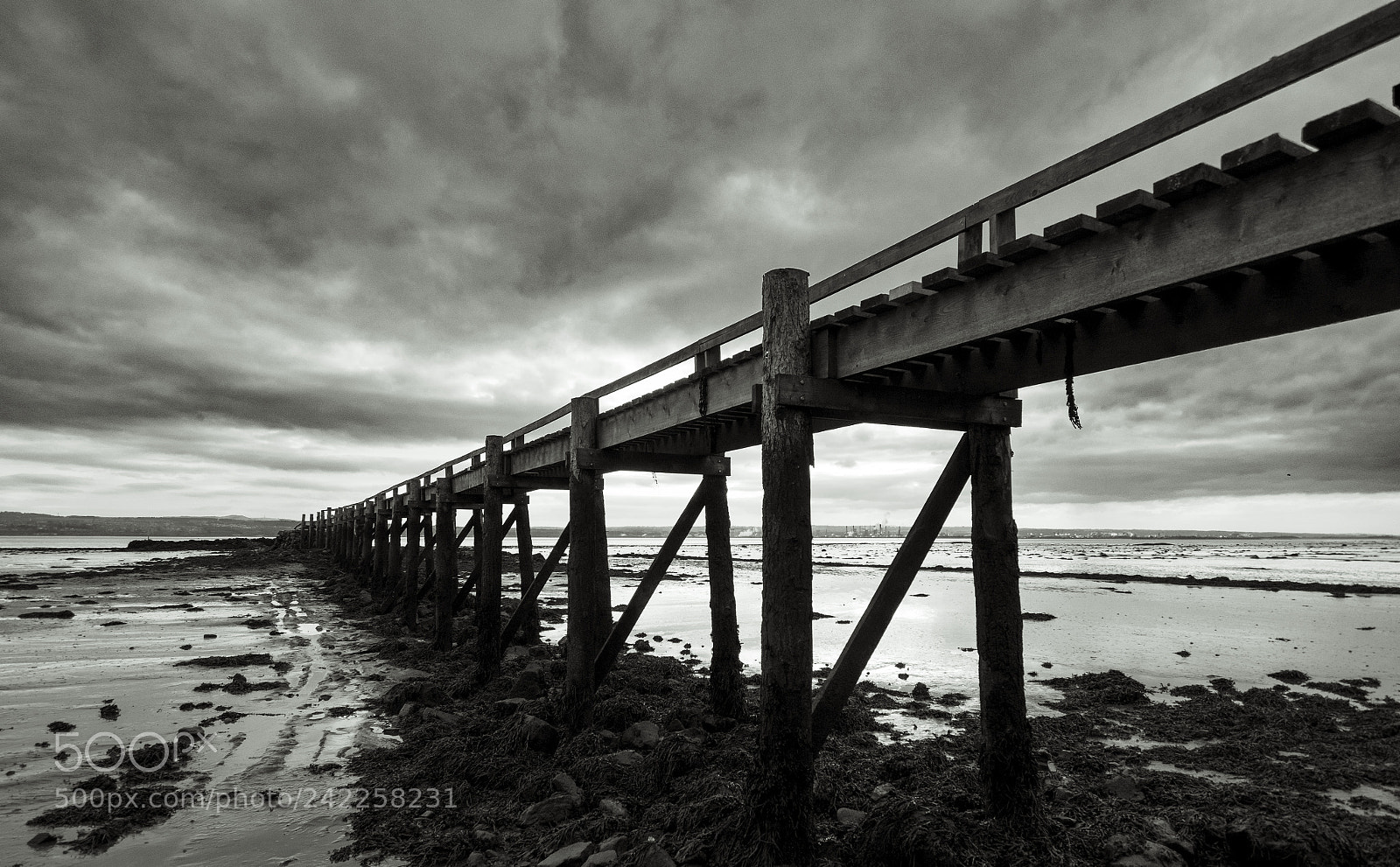 Panasonic Lumix DMC-GX8 sample photo. Under the pier again photography