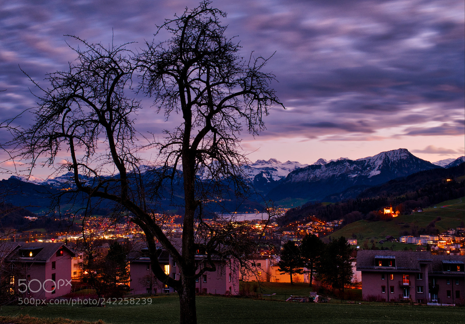Fujifilm X-Pro2 sample photo. Tree about kriens photography