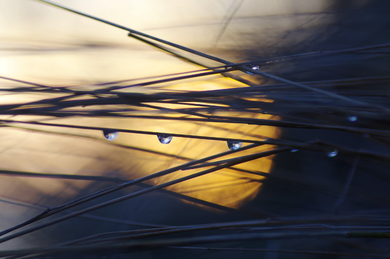 Tamron SP AF 90mm F2.8 Di Macro sample photo. Sunrise photography