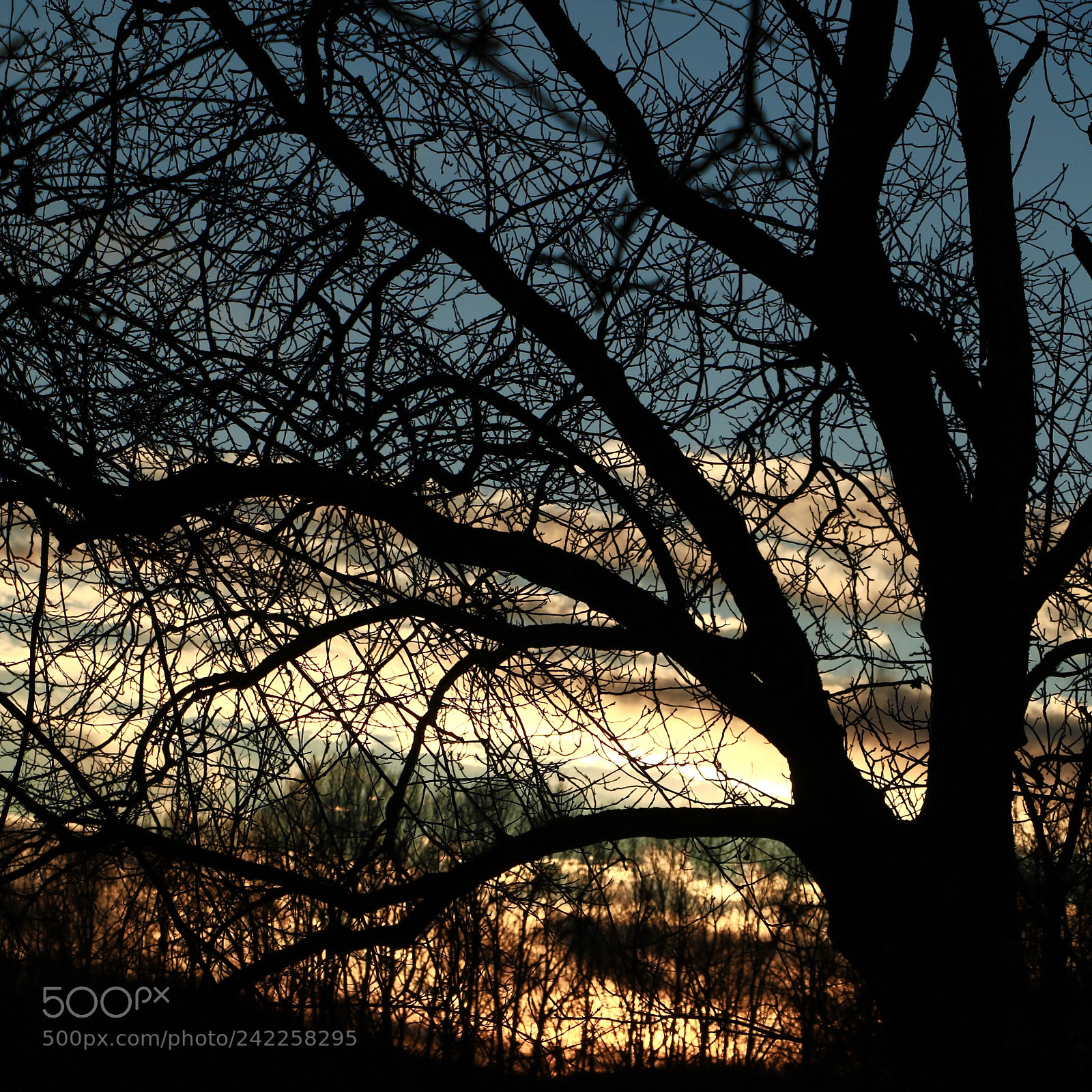 Canon EOS 750D (EOS Rebel T6i / EOS Kiss X8i) sample photo. Sunset photography