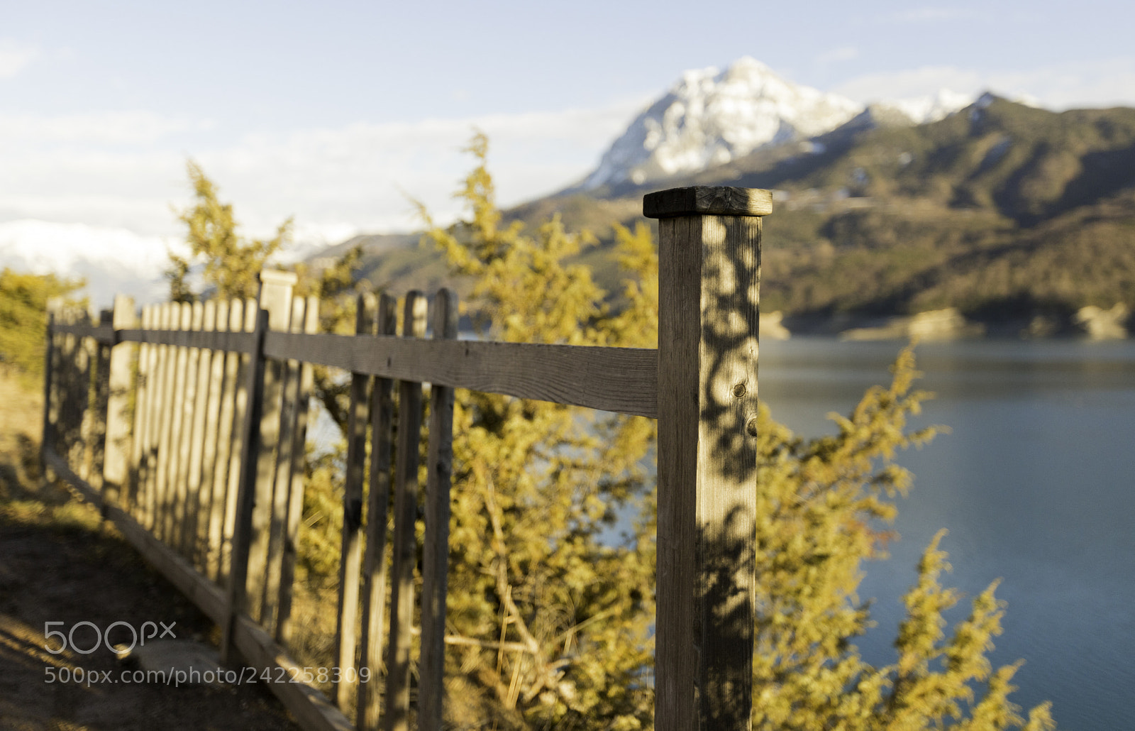 Canon EOS 6D Mark II sample photo. Untitled photography