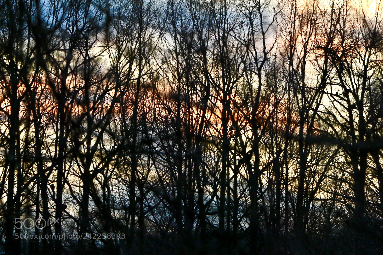 Canon EOS 750D (EOS Rebel T6i / EOS Kiss X8i) sample photo. Untitled photography