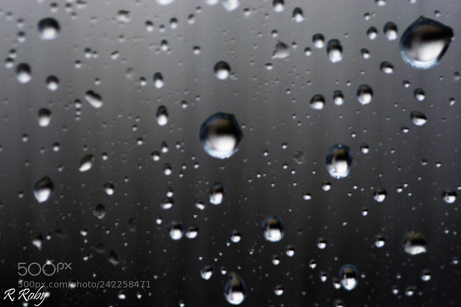Nikon D5500 sample photo. Balade macro photography