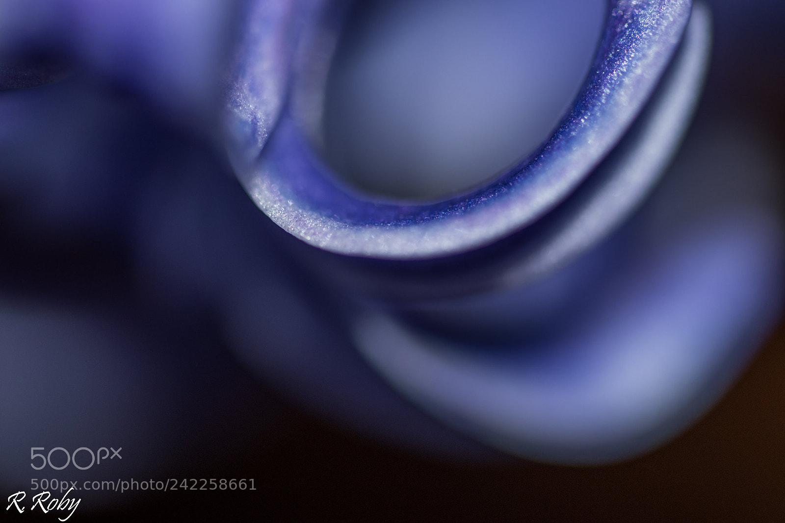 Nikon D5500 sample photo. Balade macro photography