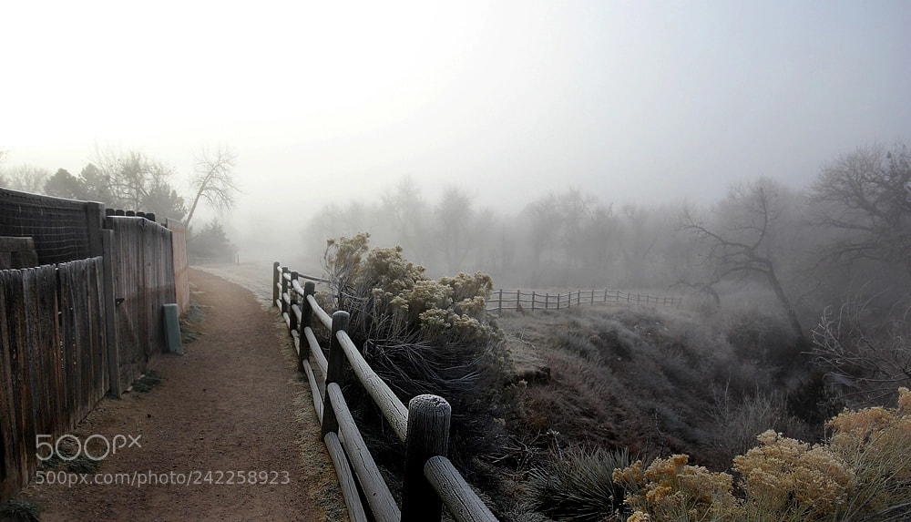 Canon EOS 60D sample photo. Fogged path photography
