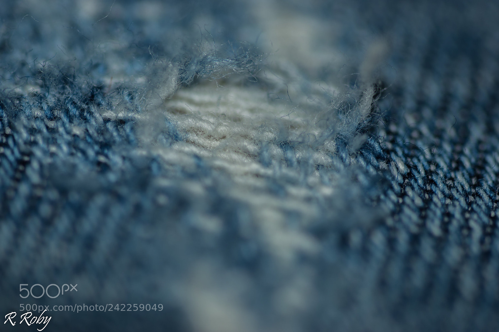 Nikon D5500 sample photo. Balade macro photography