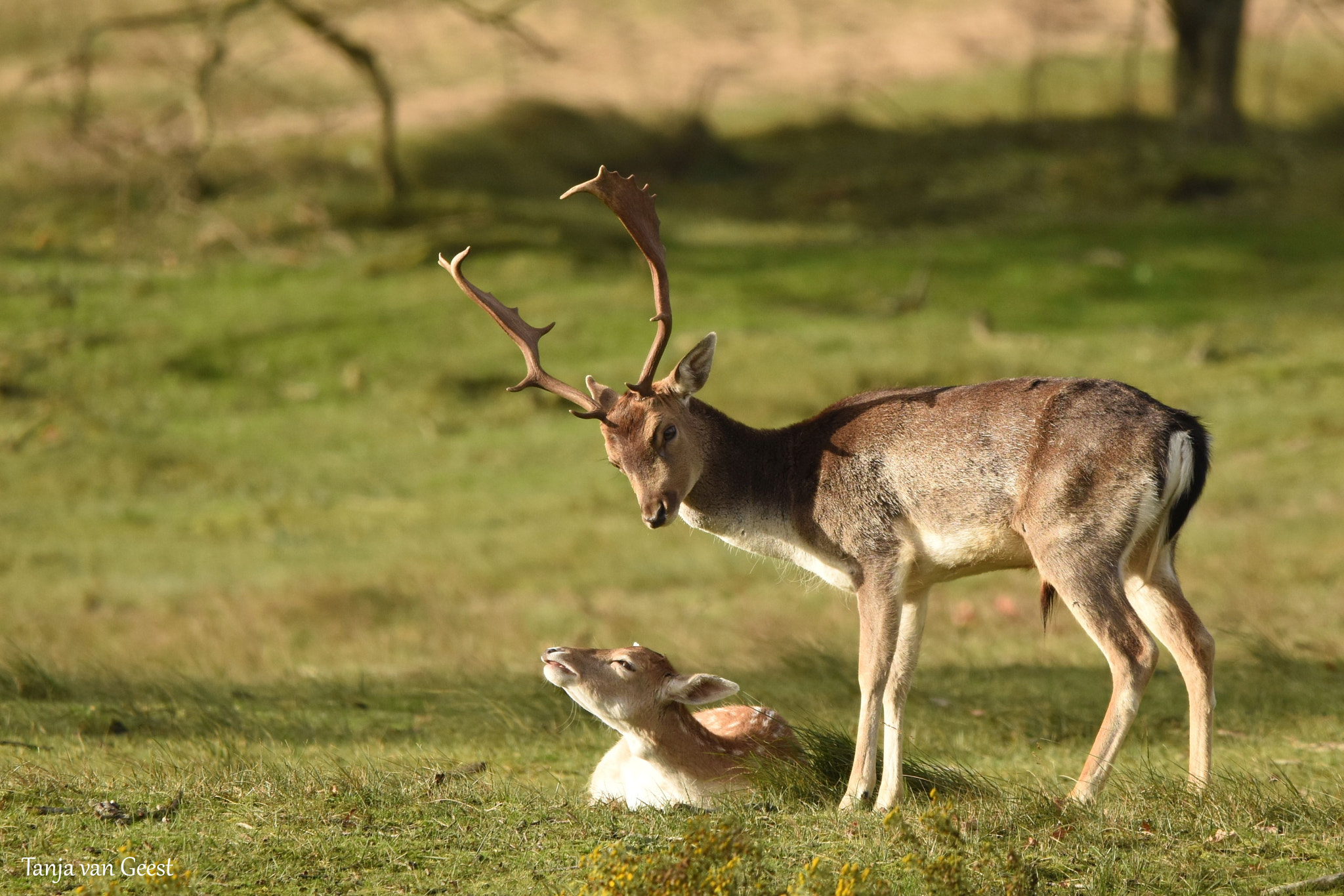 Nikon D5500 + Sigma 150-600mm F5-6.3 DG OS HSM | C sample photo. No, not interested photography