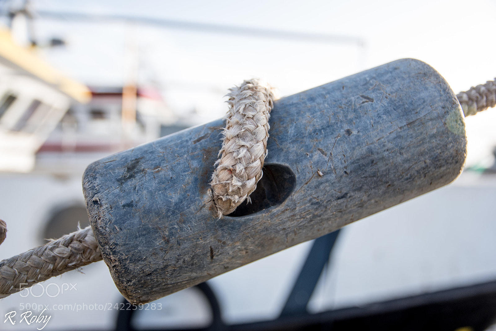 Nikon D5500 sample photo. Balade macro photography