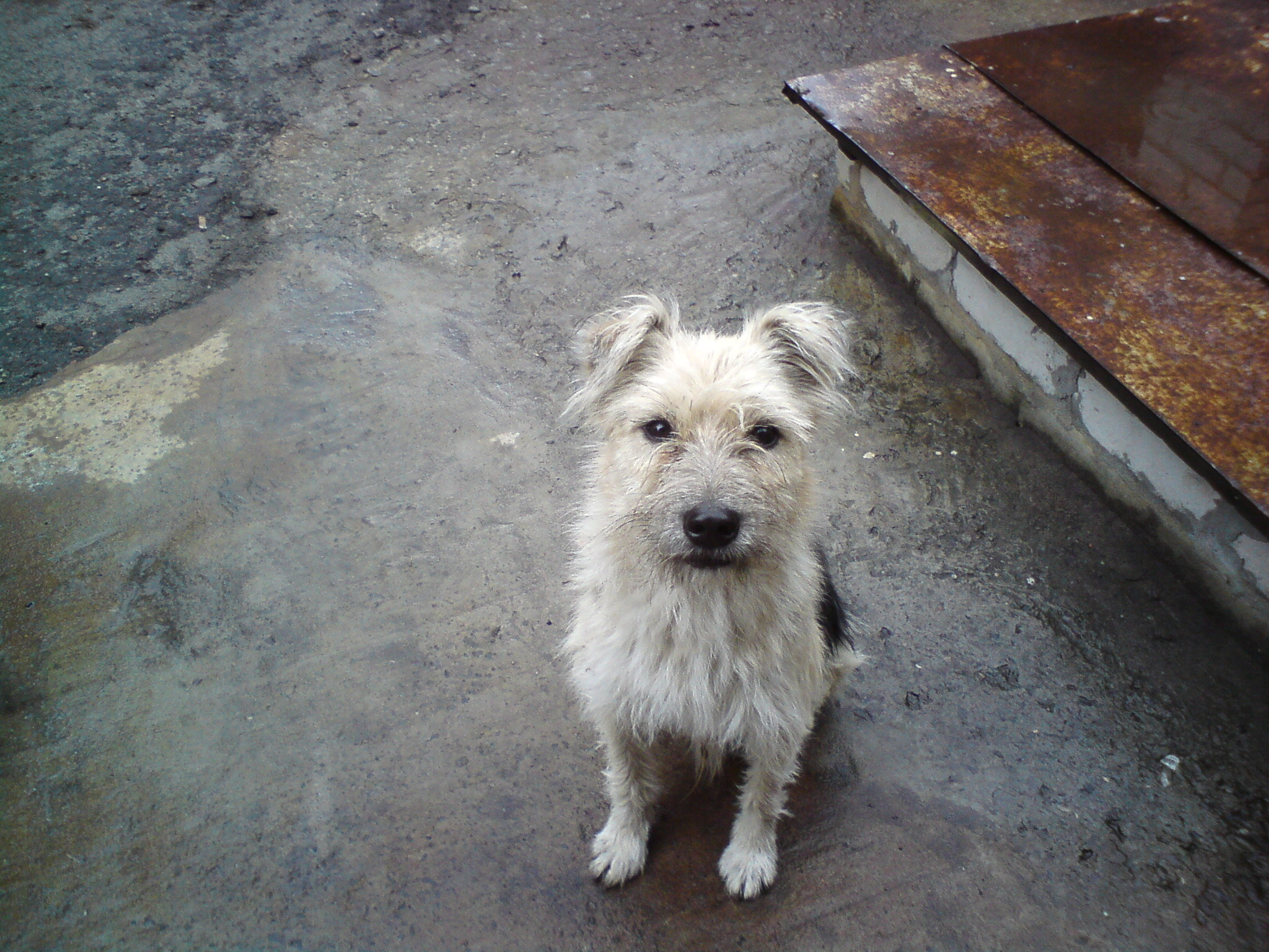 Sony Ericsson C702 sample photo. Dsc photography