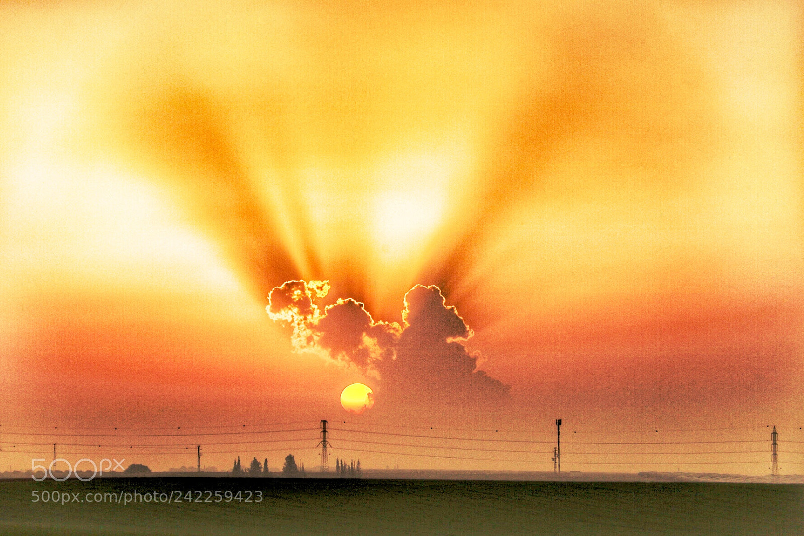 Canon EOS 750D (EOS Rebel T6i / EOS Kiss X8i) sample photo. Fire in the sky photography