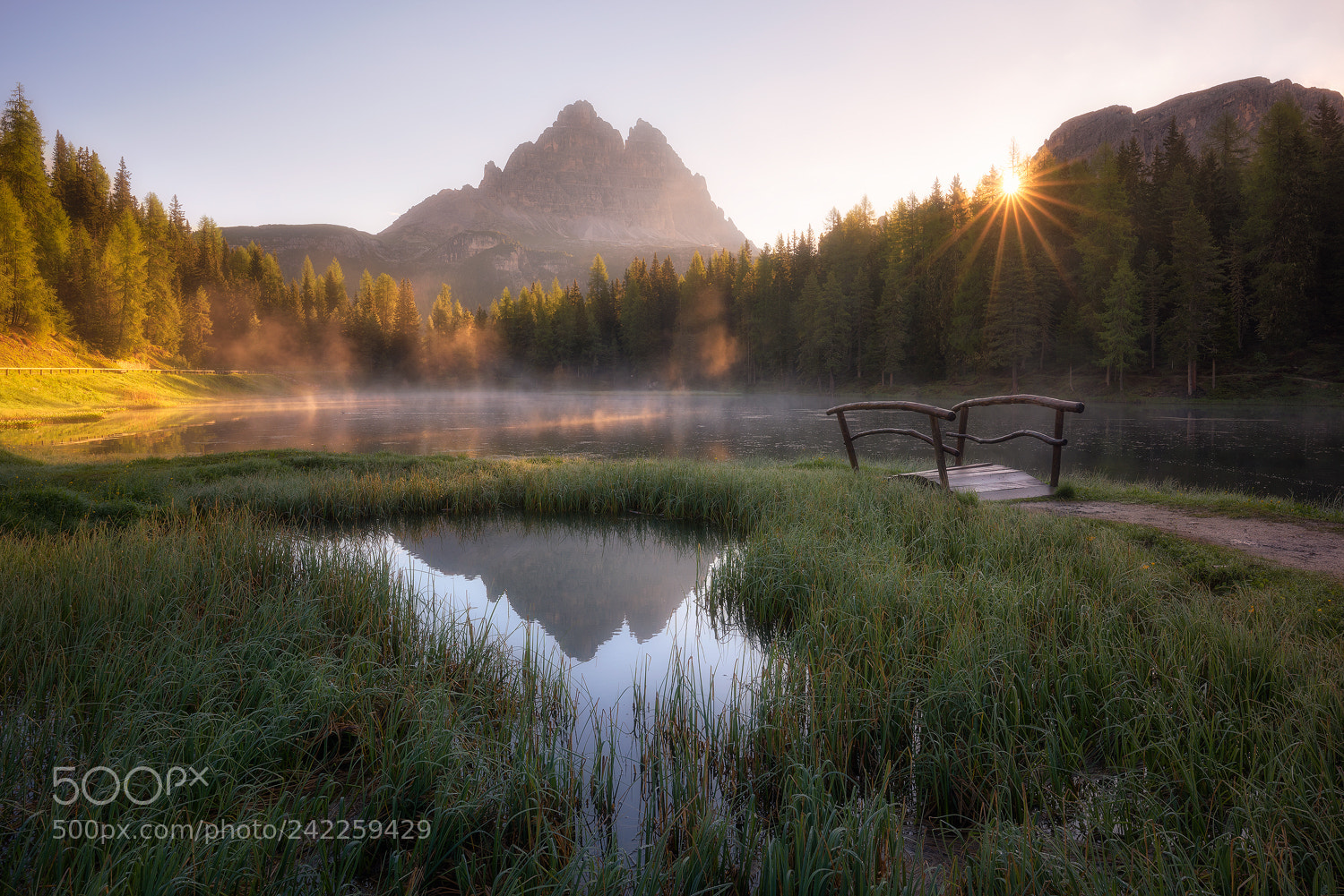 Nikon D810 sample photo. Calm morning in the photography