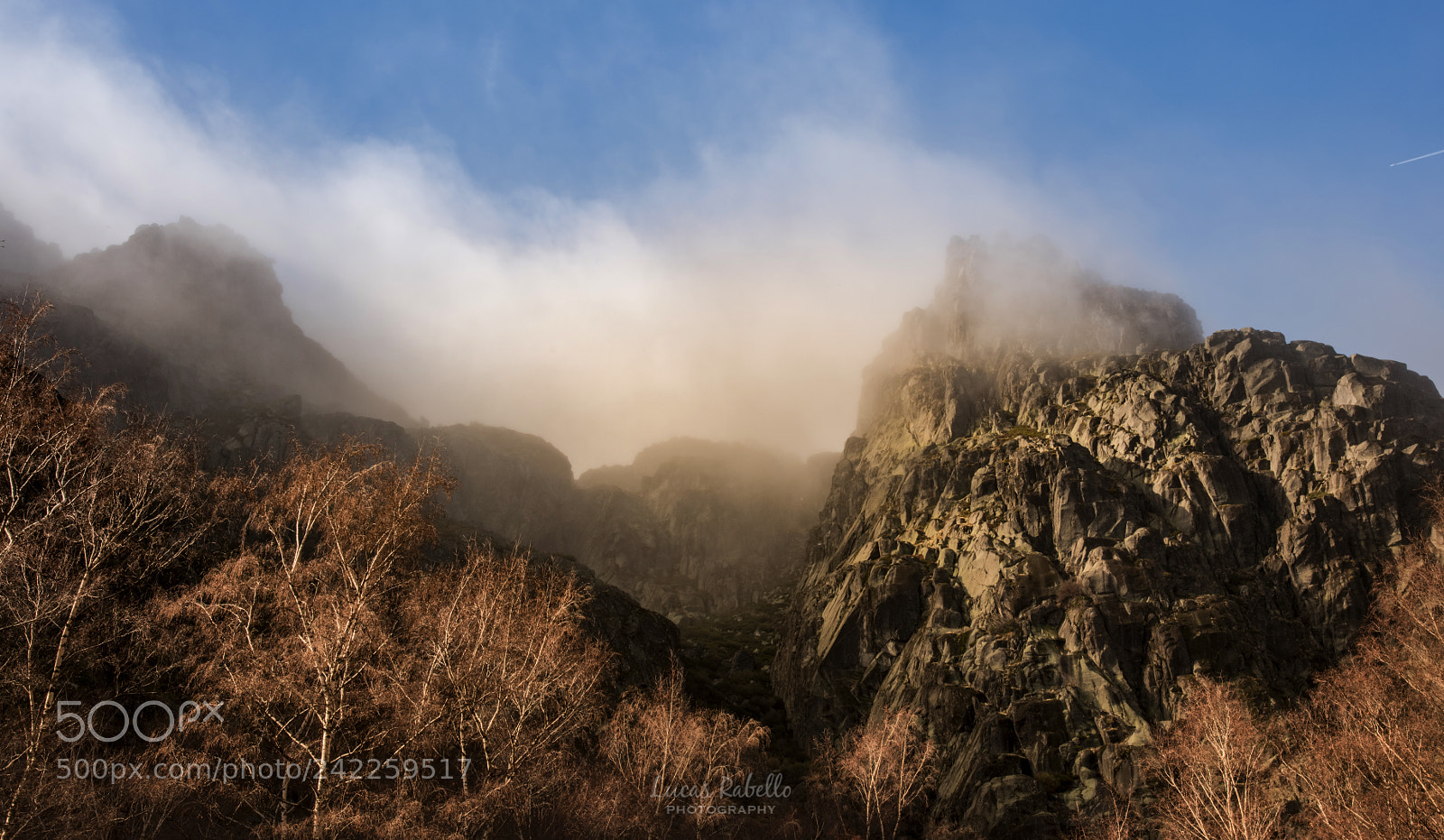 Nikon D810 sample photo. Covão d' metade photography