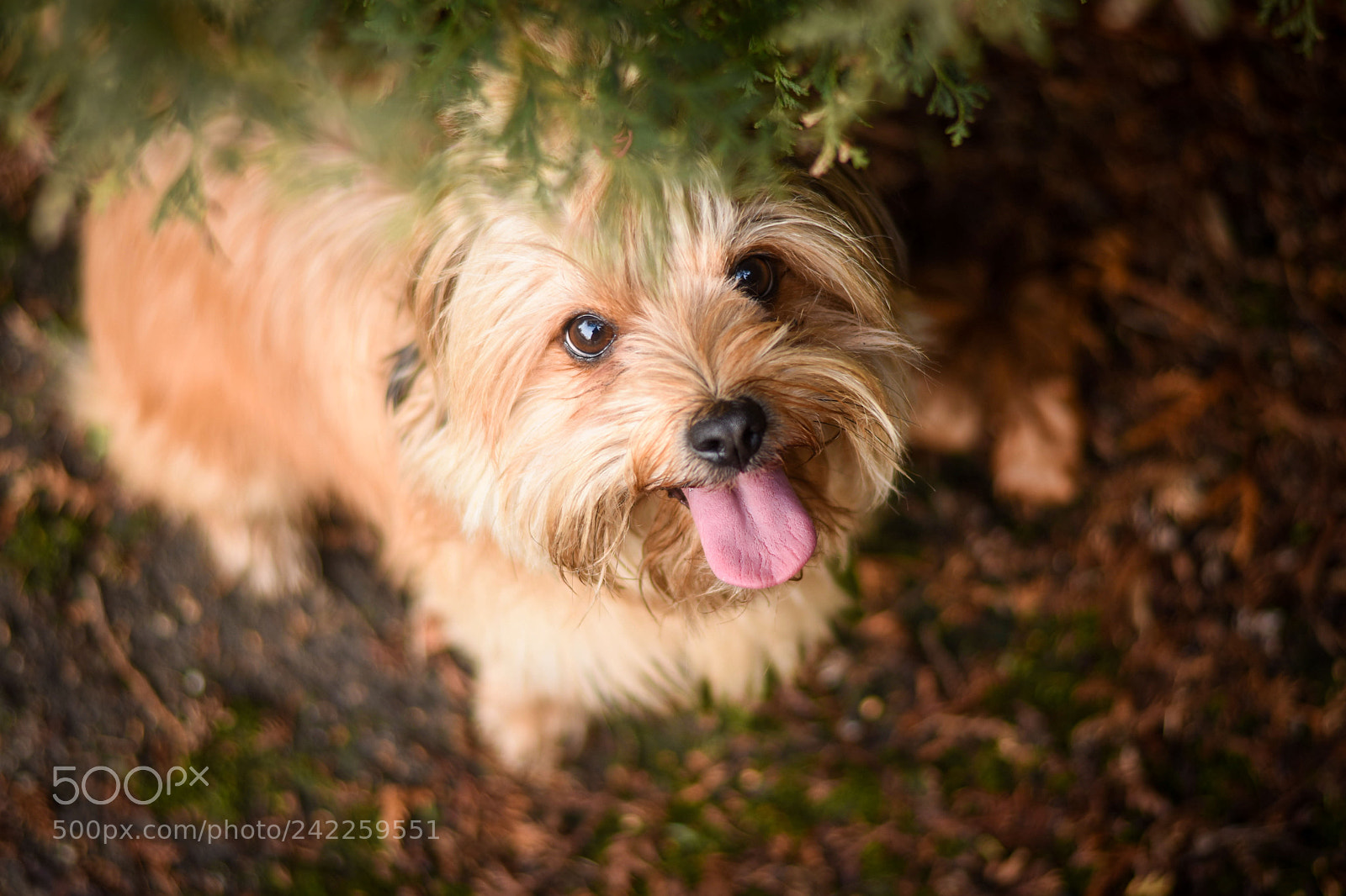 Nikon D7200 sample photo. Untitled photography