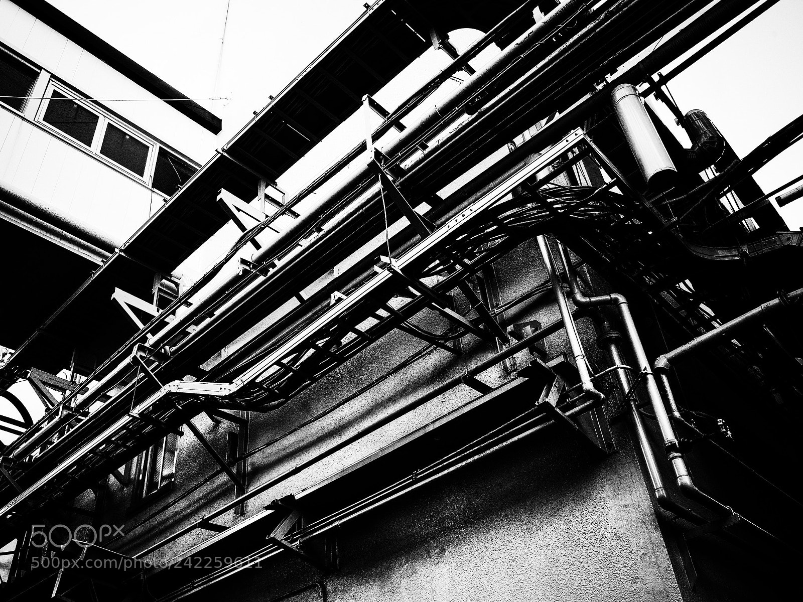 Ricoh GR II sample photo. Untitled photography