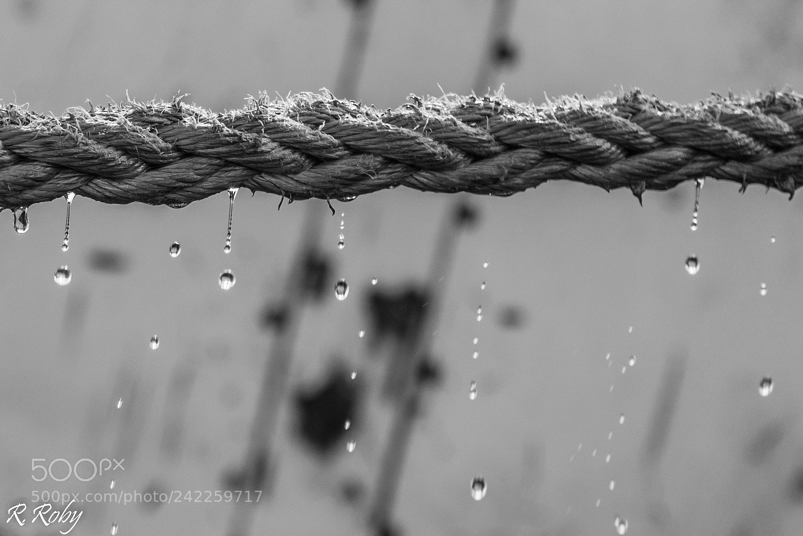 Nikon D5500 sample photo. Balade bretonne photography