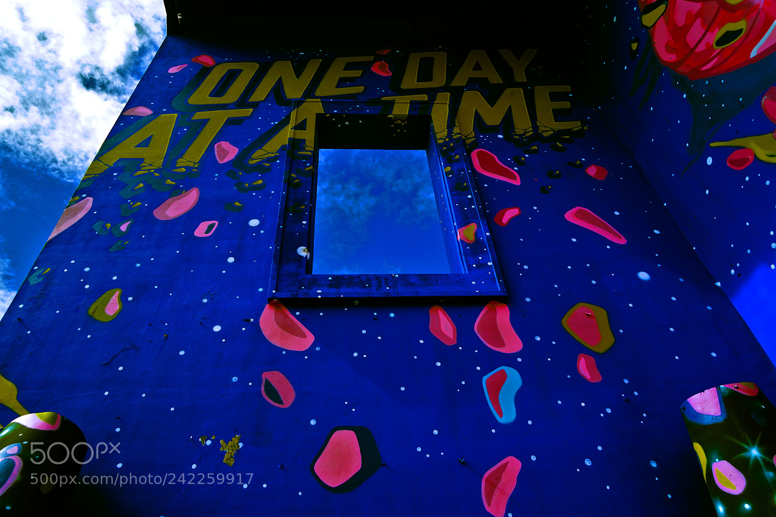 Sony a7 II sample photo. Daydream believing photography