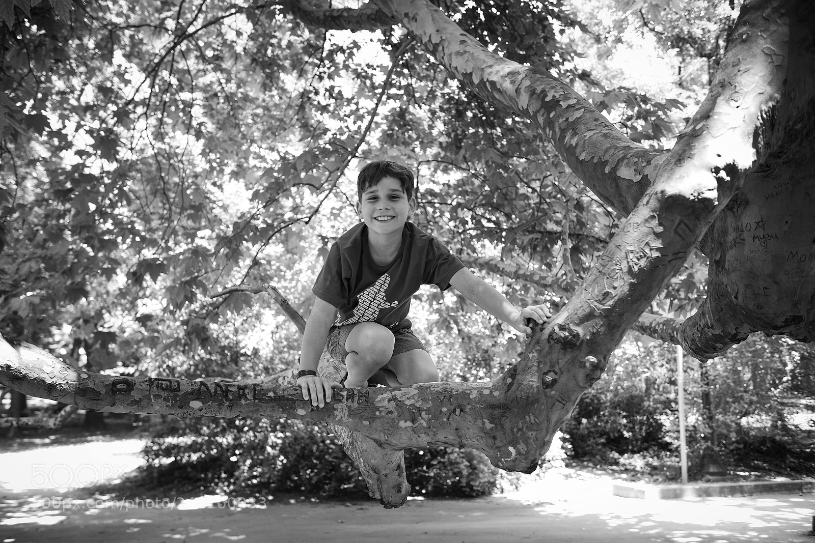 Nikon D800 sample photo. Love ... photography