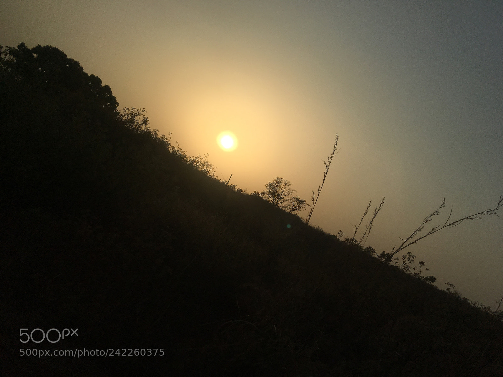 Apple iPhone 6s sample photo. Untitled photography