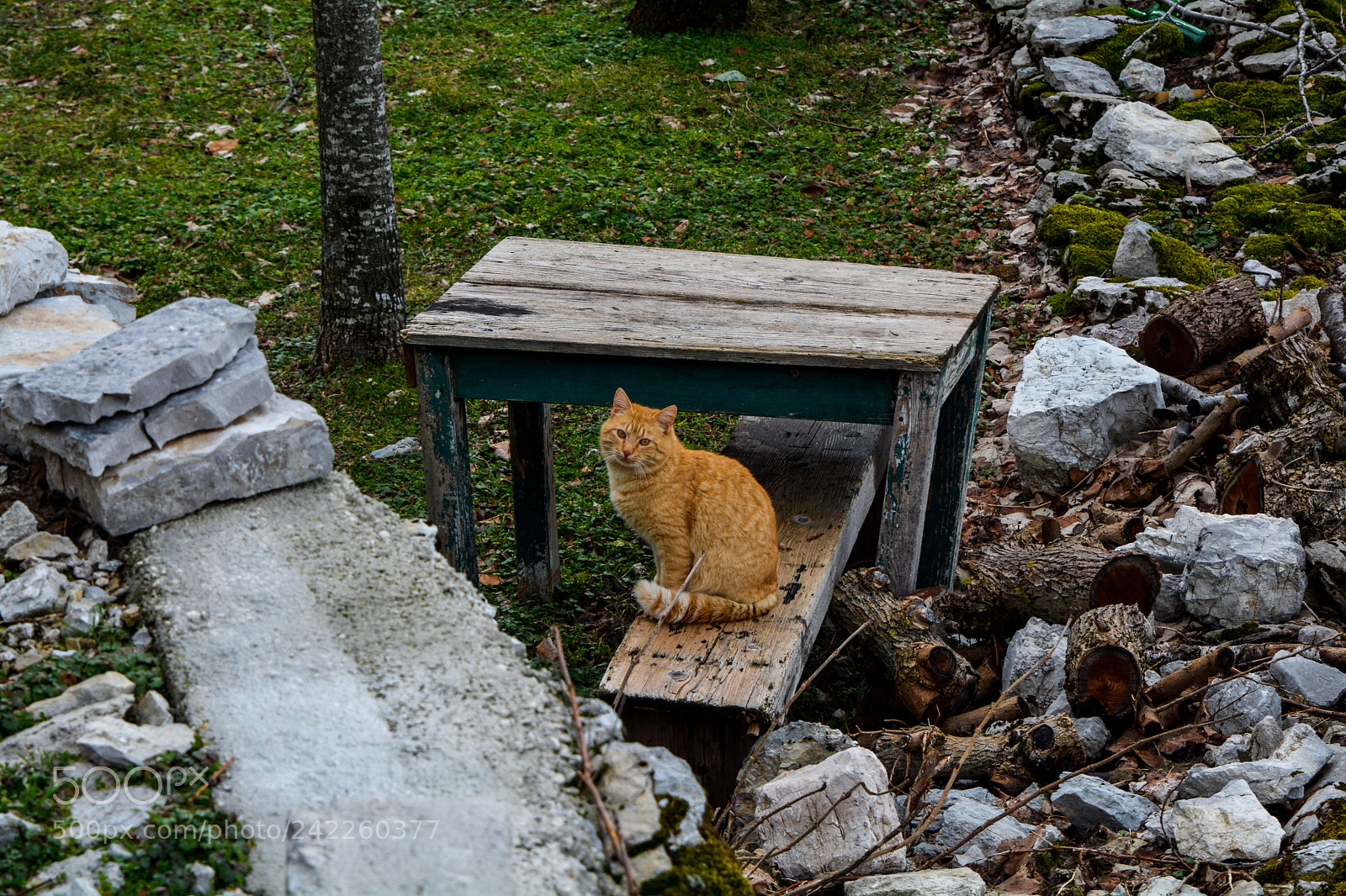 Nikon D7100 sample photo. Forgotten village photography